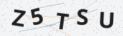 Security code image